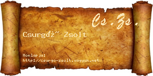 Csurgó Zsolt névjegykártya